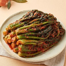 여수노반장 돌산갓김치 1.5kg 국내산100% 택1, 갓 장아찌 1kg, 1개