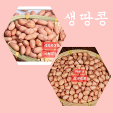 [신중국식품]생땅콩 중국산생땅콩큰알(대) 성화성 생땅콩중(바이싸), 생땅콩(중)1kg, 1개