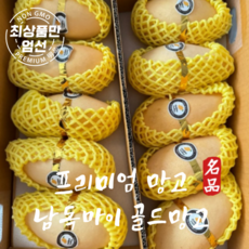 남독마이 고당도 생망고 골드망고 최상품 2kg 5kg, 당도보장 골드망고 2kg(5~7과), 1개