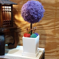 꽃을담은사진 스칸디아모스 토피어리 화분 천연이끼 공기정화식물, 퍼플