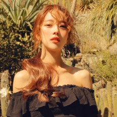 포몰리