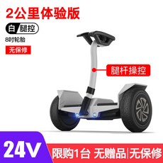 전동이륜평행차