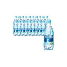 빅토리아 탄산수 썸머스노우 500ml 20개, 키위