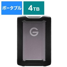 샌디스크프로페셔널