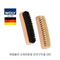 독일볼리 슈케어중형 돈모구두솔 C02, 블랙, 1개