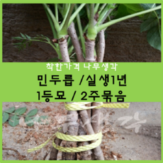 83acda9fcf9341176509d1ee53615aee34e79ac860003ba2bc6f8afac775.png