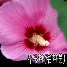 c99aea1d91aebea4fdc8704a574d93993c0ab1f938e8c128271bbefc7756.jpg
