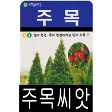 [워터트리몰] 주목씨앗(100립) 채소 꽃 종자 재배 씨앗 허브 나무 (A), 1개