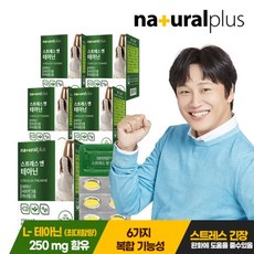 내츄럴플러스 스트레스엔 L테아닌 5박스(5개월분)+쇼핑백/긴장완화, 60정, 5개