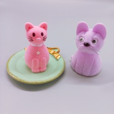 백일반지케이스