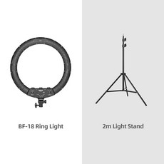 링라이트21인치