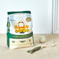 가필드모래그린