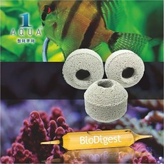 노타빌리티리딤코드