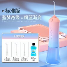 구강세정기비교