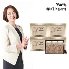 왕혜문녹용단
