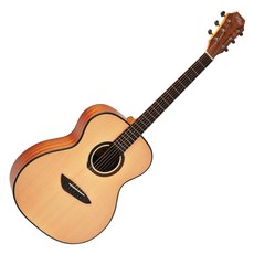 고퍼우드 어쿠스틱 기타 G110 + 구성품 13종, NS