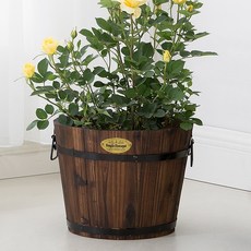 4114933c336a29eb3071cc8e70038312a230297f4ad7de8d509832cad49f.jpg