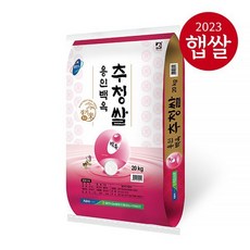 용인시농협 23년산 햅쌀 용인백옥 추청쌀 20kg 상등급도정, 없음