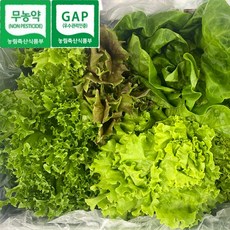 유럽채소