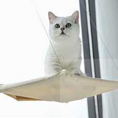 고양이 창문 거치대 애묘침대 고양이창문거치대, 아이보리, 1개