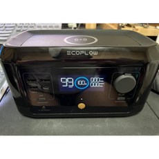 에코플로우리버미니