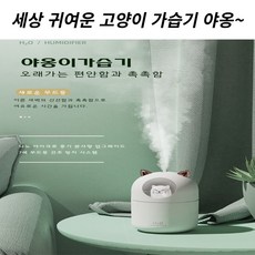 발뮤다가습기세척