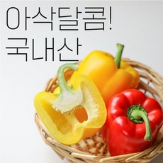 사라상회파프리카