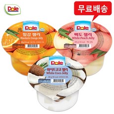 끌올젤리