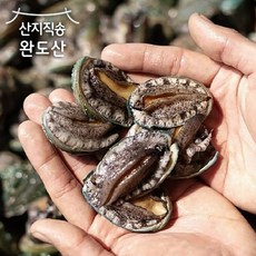 공영쇼핑전복