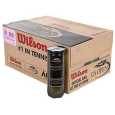 Wilson US Open Extra Duty Tennis Balls (Case), One Color_One Size, One Color, 상세 설명 참조0