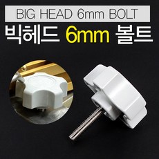 [붕어하늘] 빅헤드 6mm 필볼트/좌대용 고정볼트 회색머리/낚시