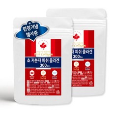 준코 캐나다 저분자 피쉬 콜라겐 펩타이드 분말 [ 300달톤 자연산 100% ], 2개, 150g