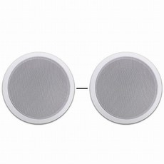 층간소음우퍼 스피커 천장 최상 벽에있는 천장 스피커 시스템 5inch 넘치는 산 가정, 하얀