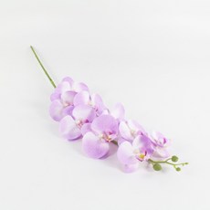 eab0b3a2976ab28b4108104e1a13ff796d31f85b1e336c465a05e6698712.jpg