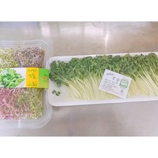 장아찌용참외구매