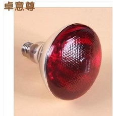 퓨쳐그린식물등