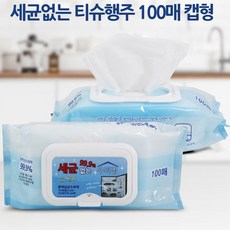우리집티슈 세균없는티슈 100매 항균 캡형 물티슈, 1세트