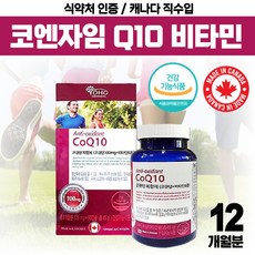 쁘띠앤코큐텐