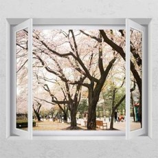 금나무그림시트지