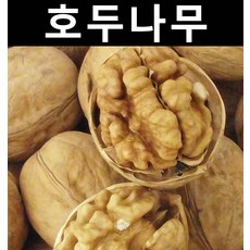 81494e1b085da4d91f8600427ccd33efa95890397f33853443600ddc98f0.jpg