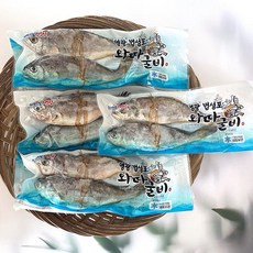 와따굴비