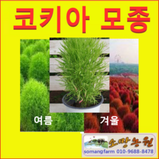 9a764ac7ae98efd07e509be55a7cd41de9ba2e0ceb64ee0cfc2700680976.png