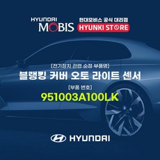 오토라이트센서커버