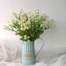 공작초