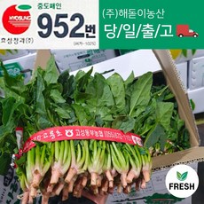 <해돋이농산> 남해 고성초 섬초 노지 시금치 1단 3단 6단 12단, 1단 (900g~1kg내외), 1개