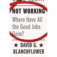 Not Working: Where Have All the Good Jobs Gone? Hardcover, Princeton University Press