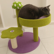 PETCA 머쉬룸 고양이 기둥형 스크래쳐 캣타워 고양이장난감