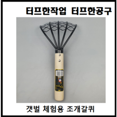 조개캐기