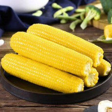 냉동옥수수-추천-상품