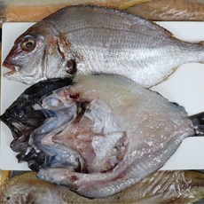 국내산 서천 반건조 우럭 참돔 (1미 2미) 국산 말린생선 반건조생선 제수용생선, 서천 반건조 참돔 1팩 1미, 1개